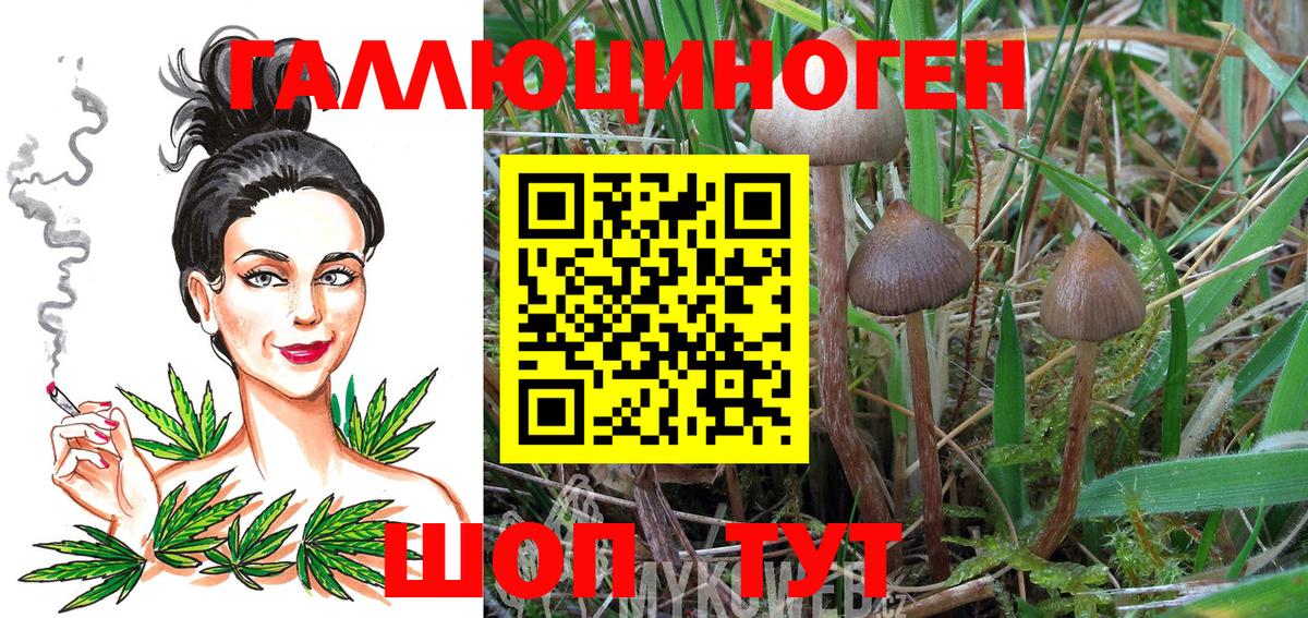 Майский  Псилоцибиновые грибы GOLDEN TEACHER  Галлюциногенные грибы GOLDEN TEACHER  Вход с VPN 